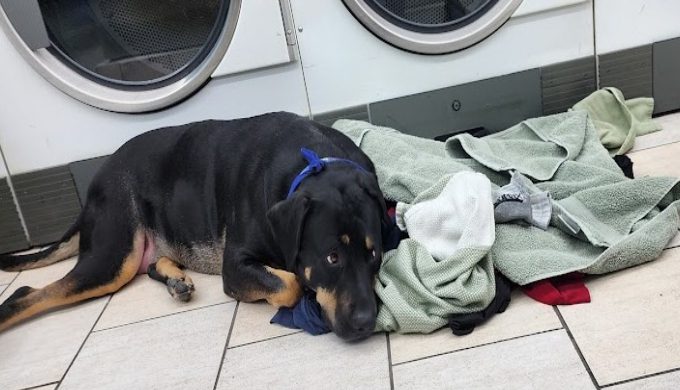 Come in and try our wash and fold service!